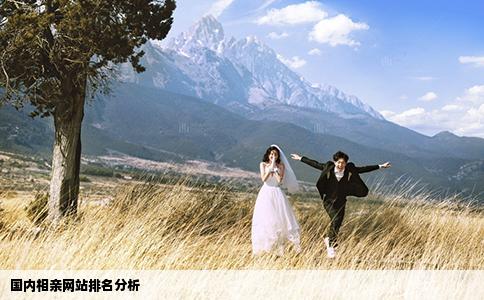 國內(nèi)相親網(wǎng)站排名分析