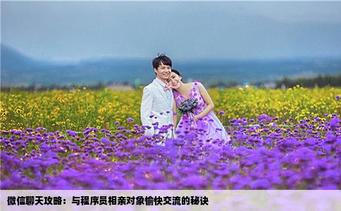 微信聊天攻略：與程序員相親對象愉快交流的秘訣