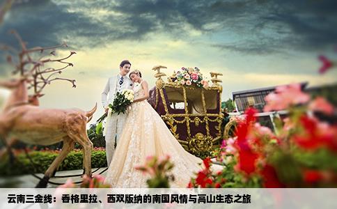 云南三金線：香格里拉、西雙版納的南國風(fēng)情與高山生態(tài)之旅