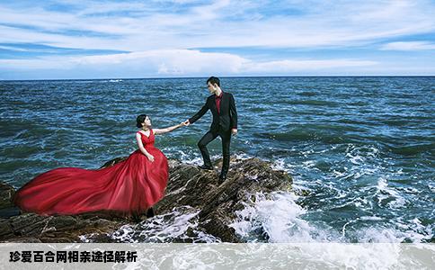 珍愛百合網(wǎng)相親途徑解析