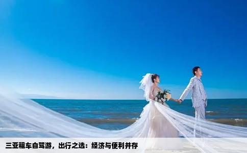 三亞租車自駕游，出行之選：經(jīng)濟與便利并存