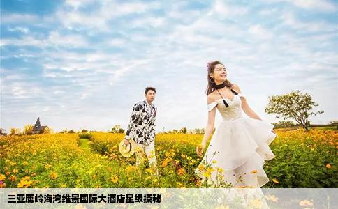 三亞鹿嶺海灣維景國(guó)際大酒店星級(jí)探秘