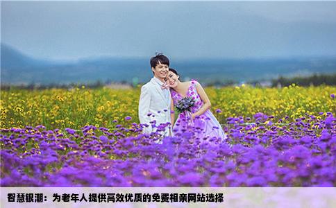 智慧銀潮：為老年人提供高效優(yōu)質(zhì)的免費相親網(wǎng)站選擇