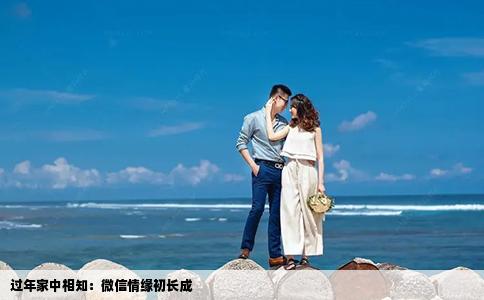 過年家中相知：微信情緣初長(zhǎng)成