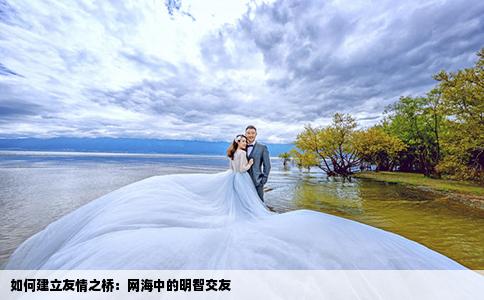 如何建立友情之橋：網(wǎng)海中的明智交友