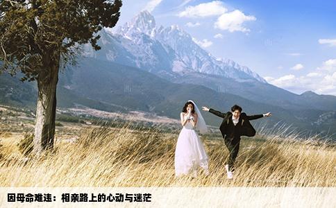 因母命難違：相親路上的心動(dòng)與迷茫