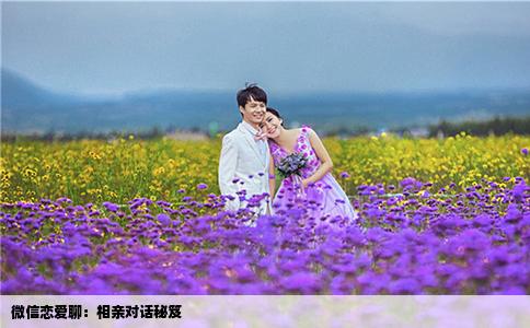 微信戀愛聊：相親對話秘笈