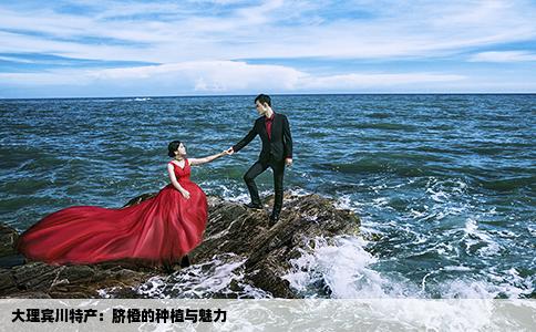 大理賓川特產(chǎn)：臍橙的種植與魅力