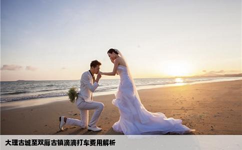 大理古城至雙廊古鎮(zhèn)滴滴打車費(fèi)用解析