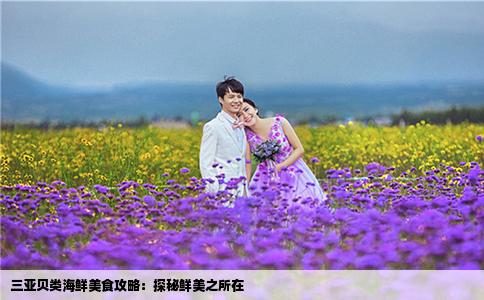 三亞貝類(lèi)海鮮美食攻略：探秘鮮美之所在