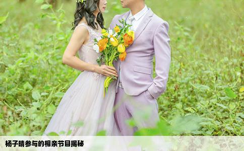 楊子晴參與的相親節(jié)目揭秘