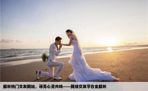 解析熱門交友網(wǎng)站，尋覓心靈共鳴——網(wǎng)絡(luò)交友平臺(tái)全解析