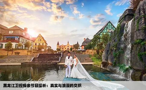 黑龍江衛(wèi)視相親節(jié)目探析：真實(shí)與浪漫的交織